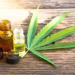 Cannabis Cannabis